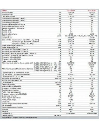 Caldera A Gas Wolf CGS-2-20/160 2 Caldera A Gas Wolf CGS-2-20/160 - Imagen 2