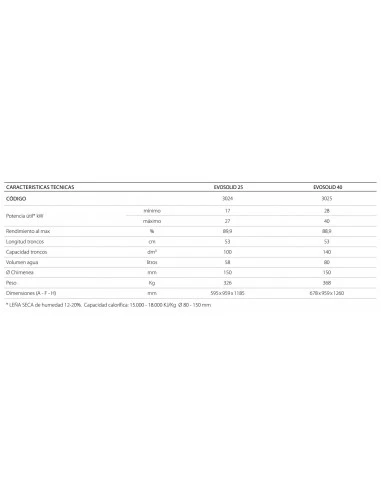 Caldera De Leña Lasian EVOSOLID 25 2 Caldera De Leña Lasian EVOSOLID 25 - Imagen 2