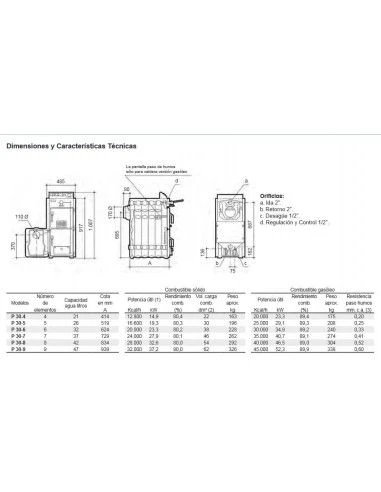 Caldera Policombustibles Baxi P 30- 9 Elem 2 Caldera Policombustibles Baxi P 30- 9 Elem - Imagen 2