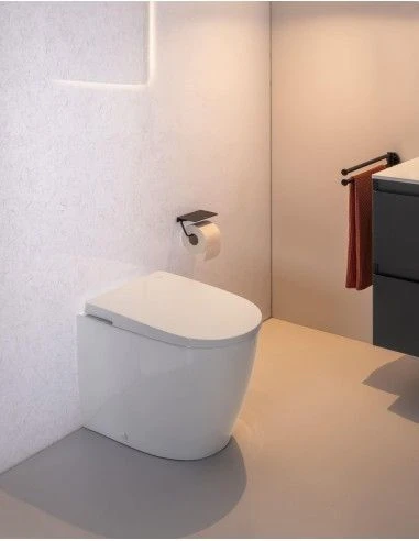 Inodoro A Pared Roca Avant Con Alimentación Hidráulica Externa 2 Inodoro A Pared Roca Avant Con Alimentación Hidráulica Externa - Imagen 2