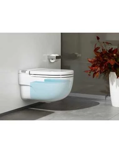Taza De Inodoro Suspendido In-Tank Roca Meridian A893301000 3 Taza De Inodoro Suspendido In-Tank Roca Meridian A893301000 - Imagen 3