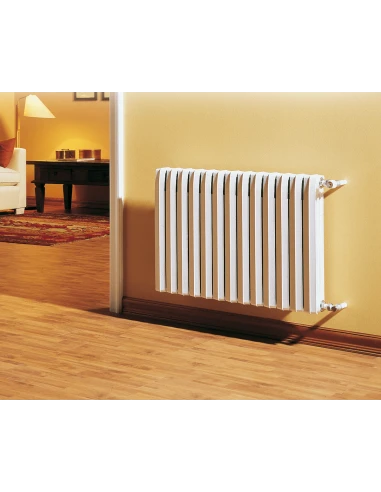 Radiador De Hierro Fundido Baxi DUBA 3 Columnas 46-3D 8 Elementos 1 Radiador De Hierro Fundido Baxi DUBA 3 Columnas 46-3D 8 Elementos