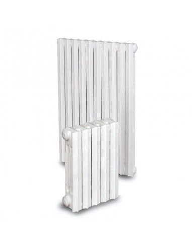 Radiador De Hierro Fundido Lasian RIDEM 3/350 2 Radiador De Hierro Fundido Lasian RIDEM 3/350 - Imagen 2