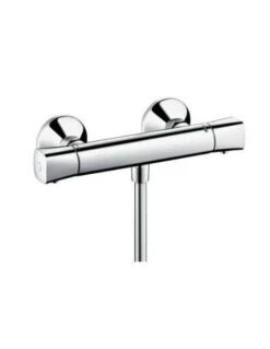 Termostato De Ducha Expuesto Hansgrohe Ecostat